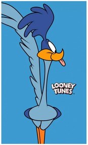 Detský uterák Looney Tunes - Road Runner - 100% bavlna s gramážou 350 gr./m² - 30 x 50 cm