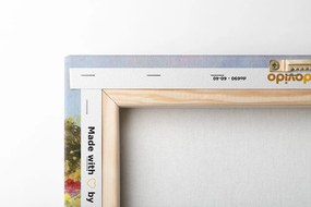 Obraz divé maky na lúke