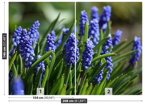 Fototapeta Vliesová Modré hyacinty 104x70 cm