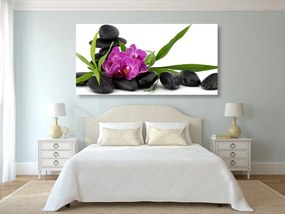 Obraz fialová orchidea v Zen zátiší - 120x60