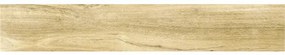 Dlažba imitácia dreva SILVIS larice 20 x 120 cm
