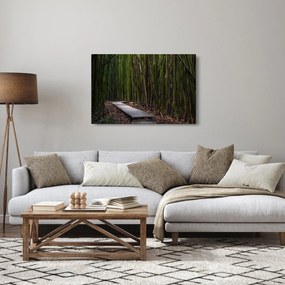 Obraz - Medzi bambusy (90x60 cm)