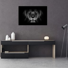 Obraz - Lev a jeho majestátnosť (90x60 cm)