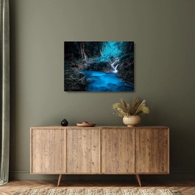 Sklenený obraz - Magická noc v tropickom lese (70x50 cm)