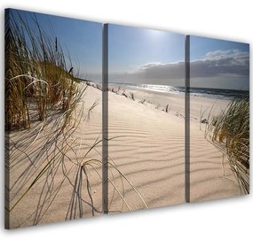 Obraz na plátně třídílný Pláž Mořské duny Příroda - 120x80 cm