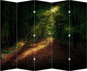 Paraván - Lesná cesta (210x170 cm)