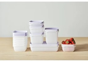 SmartStore Sada plastových dóz Freezer 4 ks, levanduľa, 750 ml, 750 ml