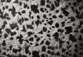 Fototapeta - Škvrnitá srsť (147x102 cm)