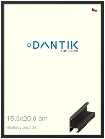 DANTIK rám na obraz 15x20 | ALU Černá matná (Sklo Čiré)