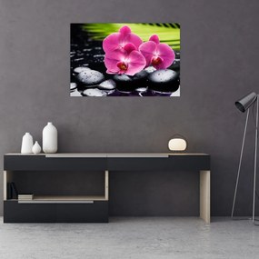 Obraz - Ružové orchidey s palmovým listom (90x60 cm)