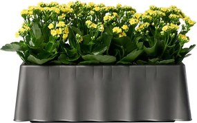 BAMA Brezza, antracit