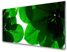 Obraz na akrylátovom skle Listy 125x50 cm