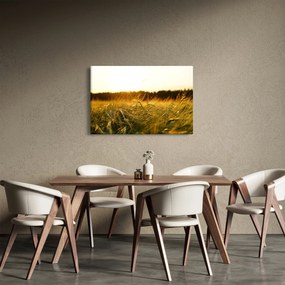 Obraz orosenej trávy (90x60 cm)
