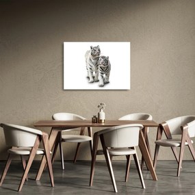 Sklenený obraz - Biely tiger (70x50 cm)