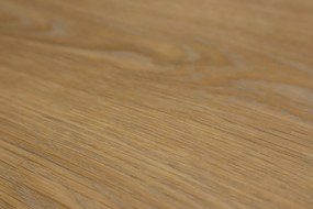 IVC Commercial, PVC podlaha - lino Logitex Ultimate 55 Elias T44, na mieru, šíře 2m,4m, hnedá, filc, chodba / predsieň
