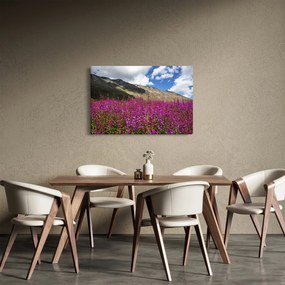 Obraz scenérie horské lúky (90x60 cm)
