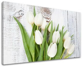 Obraz na stenu KVETY 20x30 cm