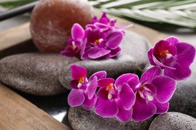 Samolepiaca fototapeta  nádherná orchidea a Zen kamene - 375x250