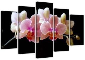 Obraz na plátně pětidílný Růžová orchidej - 200x100 cm