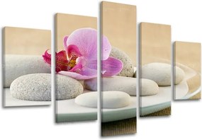 Obraz na stenu FENG SHUI