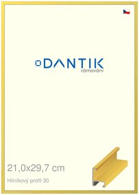 DANTIK rám na obraz 21x29,7 | ALU Dýha barevná žlutá citrus (Sklo Čiré)