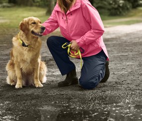 Vôdzka pre psy s reflexnými prvkami