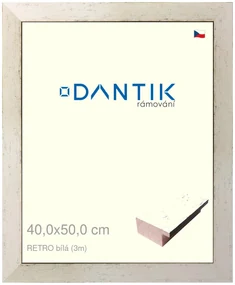 DANTIK rám na obraz 40x50 | RETRO bílá (Sklo Čiré)