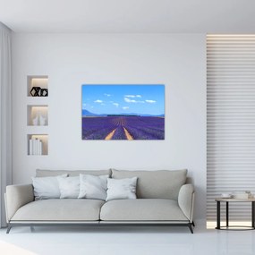 Obraz - Levanduľové pole (90x60 cm)