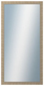 DANTIK - Zrkadlo v rámu, rozmer s rámom 60x120 cm z lišty Golf Champagne (2490)