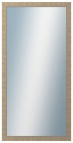 DANTIK - Zrkadlo v rámu, rozmer s rámom 60x120 cm z lišty Golf Champagne (2490)