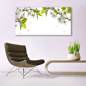 Obraz na akrylátovom skle Plátky príroda 120x60 cm