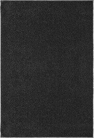 Koberec 120x170 cm SONGMICS TAR012G02 - tmavosivý
