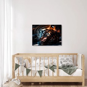 Obraz ležiaceho tigra (70x50 cm)