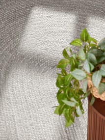 Koberec Hanse Home Jute Braided Rangpur biely ovál