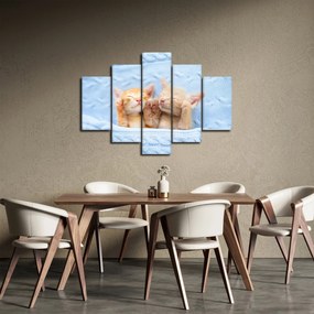 Obraz - Spiace mačiatka (150x105 cm)