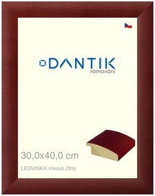 DANTIK rám na obraz 30x40 | LEDVINKA vínová (Plexi Čiré)