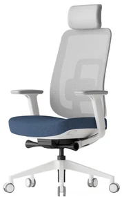 Kancelárska ergonomická stolička K42 White — sieť, látka, biela / viac farieb Modrá