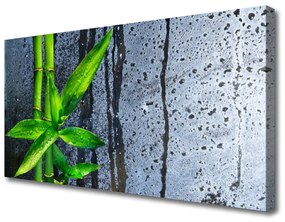 Obraz Canvas Bambus list rastlina príroda 120x60 cm