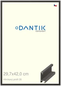 DANTIK rám na obraz 29,7x42 | ALU Dýha černá (Plexi Čiré)