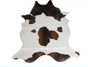 Koža z argentínskej kravy 004