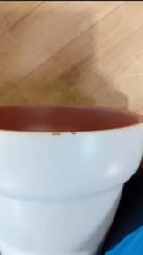 Kvetináč MAYA krémový 885391 - drobné poškodenie