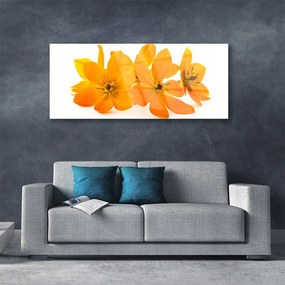 Obraz na akrylátovom skle Oranžové kvety 125x50 cm