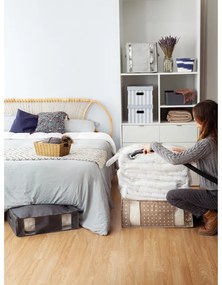 Kartónové úložné boxy v súprave 2 ks s vekom Stripes – Compactor