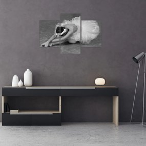 Obraz - Baletka, čiernobiela (90x60 cm)