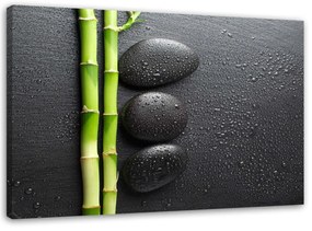 Obraz na plátně Bambusové Zenové Kameny Černá - 100x70 cm