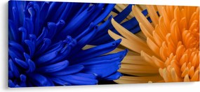Detailný obraz kvetov (120x50 cm)