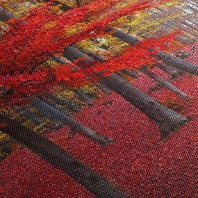 Obraz - Červený les (150x105 cm)
