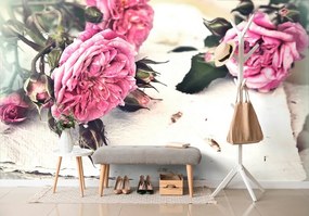 Samolepiaca fototapeta ruže v rozkvete - 150x100
