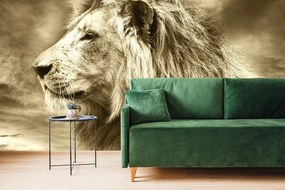 Samolepiaca tapeta africký lev v sépiovom prevedení - 150x100
