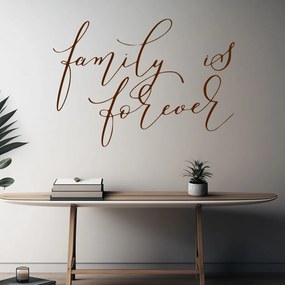 Veselá Stena Samolepka na stenu na stenu Family is forever Farba: čierna